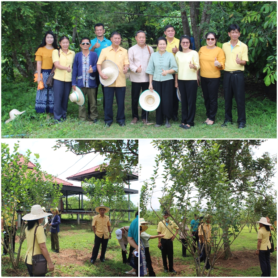 @พช. สกลนคร เมืองสามธรรม ธรรมะ ธรรมชาติ วัฒนธรรม@ วันที่ 11 กรกฎาคม 2562 เวลา 10.30 น.  นายวิเศษ ศรีวะสุทธิ์ พัฒนาการจังหวัดสกลนคร เป็นประธานการประชุมคณะทำงานติดตามและสนับสนุนการขับเคลื่อนเศรษฐกิจฐานรากและประชารัฐจังหวัดสกลนครเพื่อติดตามสนับสนุนให้คำแนะนำแก่กลุ่มเป้าหมายในพื้นที่ เพื่อขับเคลื่อนโครงการ/กิจกรรม ให้บรรลุเป้าหมาย โดยมีกลุ่มเป้าหมายประกอบด้วย กลุ่มช้างพลังสอง บ้านโนนหัวช้าง อ.ภูพาน และ กลุ่มผ้าไหมย้อมคราม บ้านหนองแข้ อ.โคกศรีสุพรรณ โดยมี  หัวหน้ากลุ่มงานสารสนเทศ,นักวิชาการพัฒนาชุมชน สำนักงานพัฒนาชุมชนจังหวัดสกลนคร และคณะทำงาน  เข้าร่วมการติดตาม ณ บ้านโนนหัวช้าง ต.สร้างค้อ อ.ภูพาน และ กลุ่มผ้าไหมย้อมคราม บ้านหนองแข้ ต.ตองโขบ อ.โคกศรีสุพรรณ จังหวัดสกลนคร