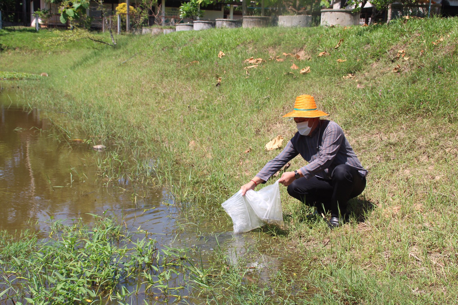 พช.สกลนคร : เอามื้อสามัคคี โคก หนอง นา โมเดล
