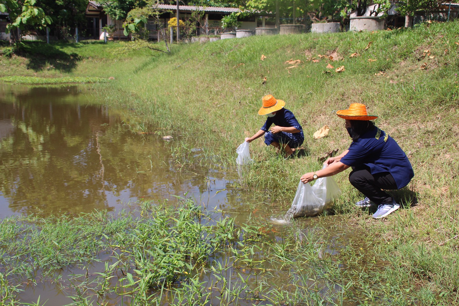 พช.สกลนคร : เอามื้อสามัคคี โคก หนอง นา โมเดล