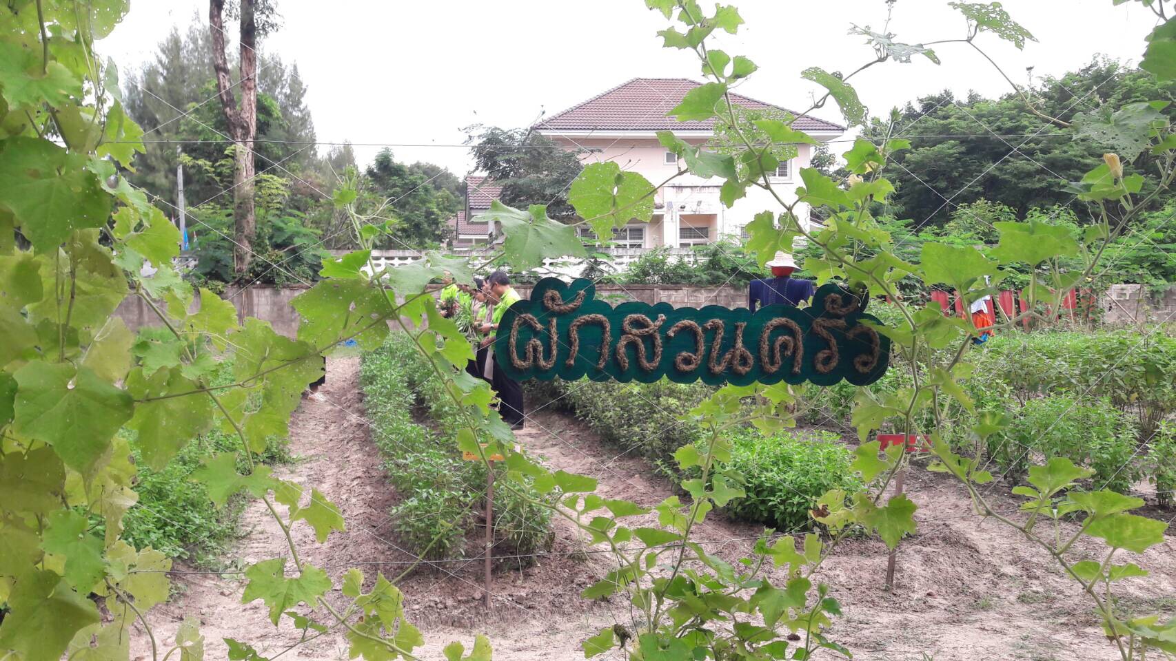 ผู้ว่าราชการจังหวัดสกลนคร ร่วมถ่ายทำรายการสารคดี ชุด กินใช้ เที่ยวในไทย ไปกับ พช.