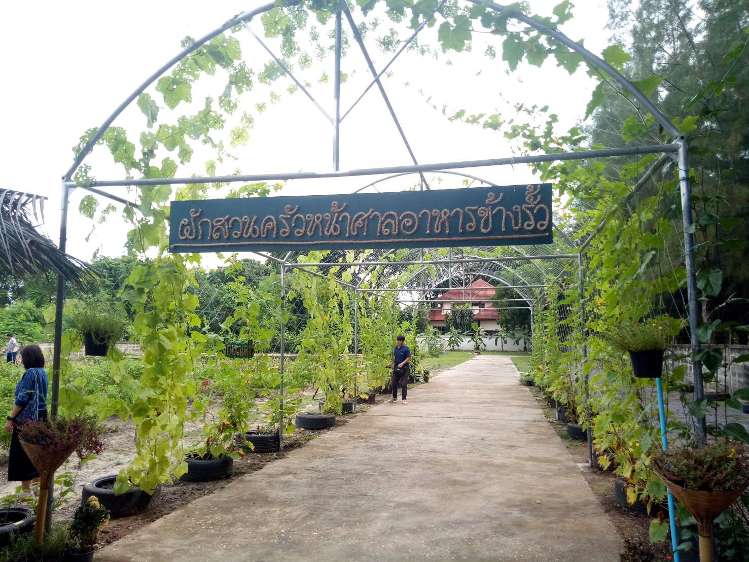 ผู้ว่าราชการจังหวัดสกลนคร ร่วมถ่ายทำรายการสารคดี ชุด กินใช้ เที่ยวในไทย ไปกับ พช.