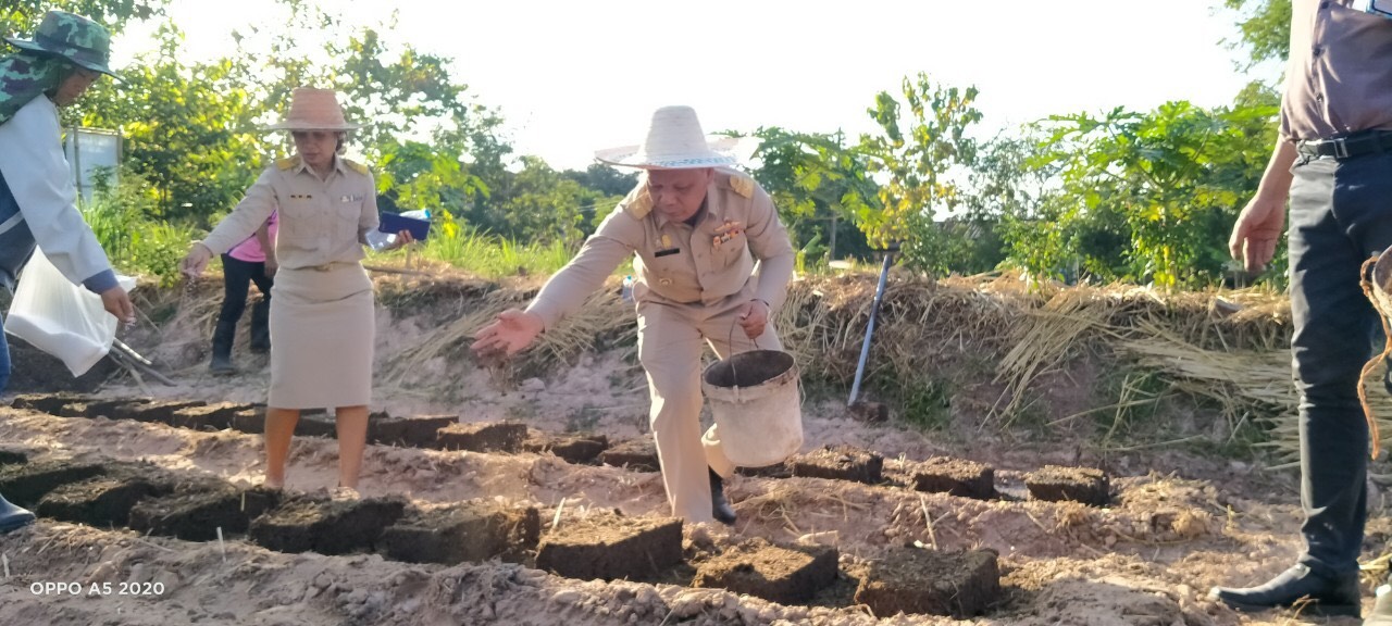 พช.สกลนคร ขับเคลื่อนโครงการพัฒนาพื้นที่ต้นแบบการพัฒนาคุณภาพชีวิตตามหลักทฤษฎีใหม่ประยุกต์สู่ “โคก หนอง นา โมเดล”
