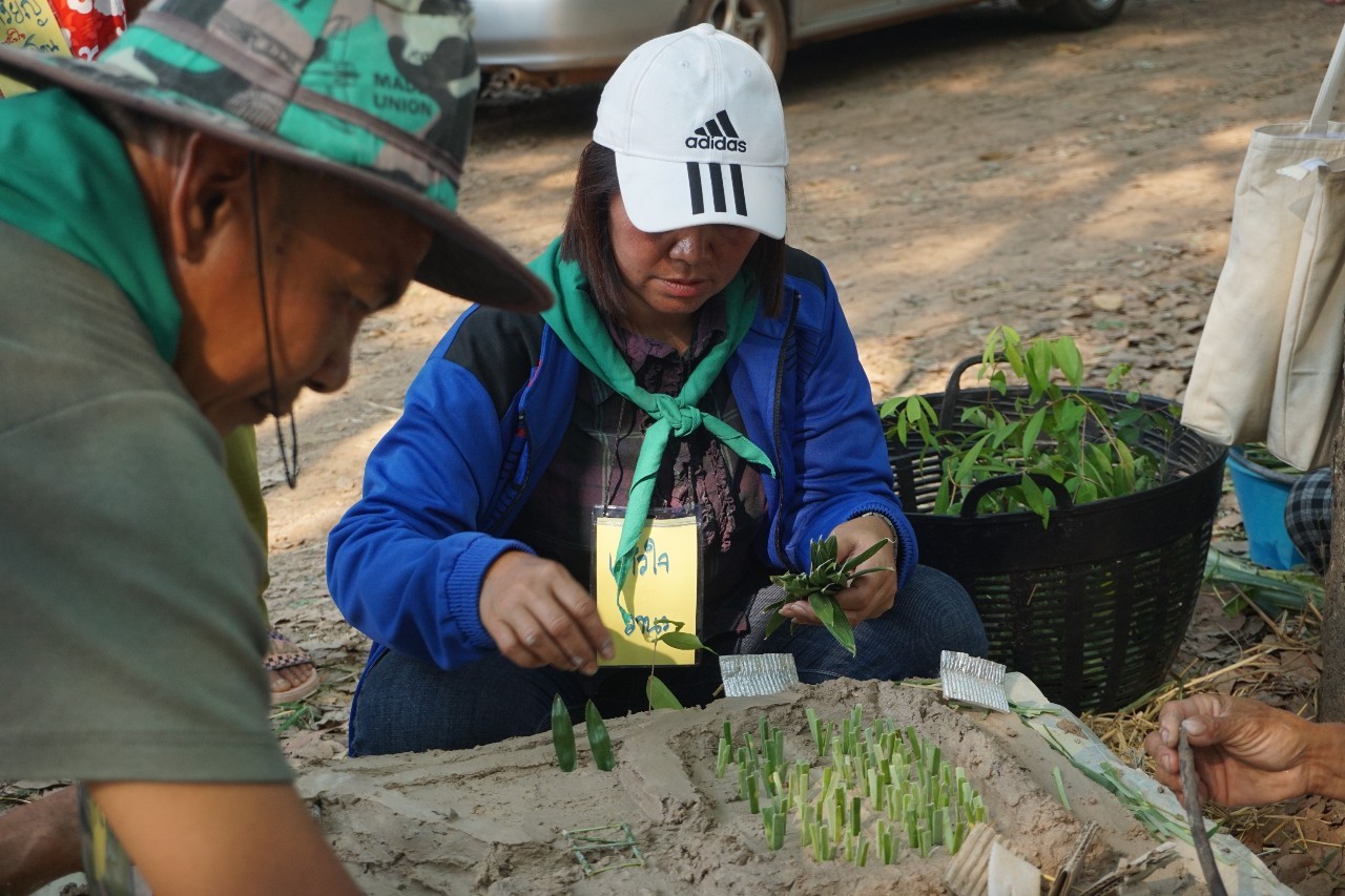 วันที่ 3 โครงการสร้างแกนนำขับเคลื่อนหมู่บ้านเศรษฐกิจพอเพียง รุ่นที่ 1 ณ ศูนย์กสิกรรมธรรมชาติฅนฮักถิ่น สกลนคร