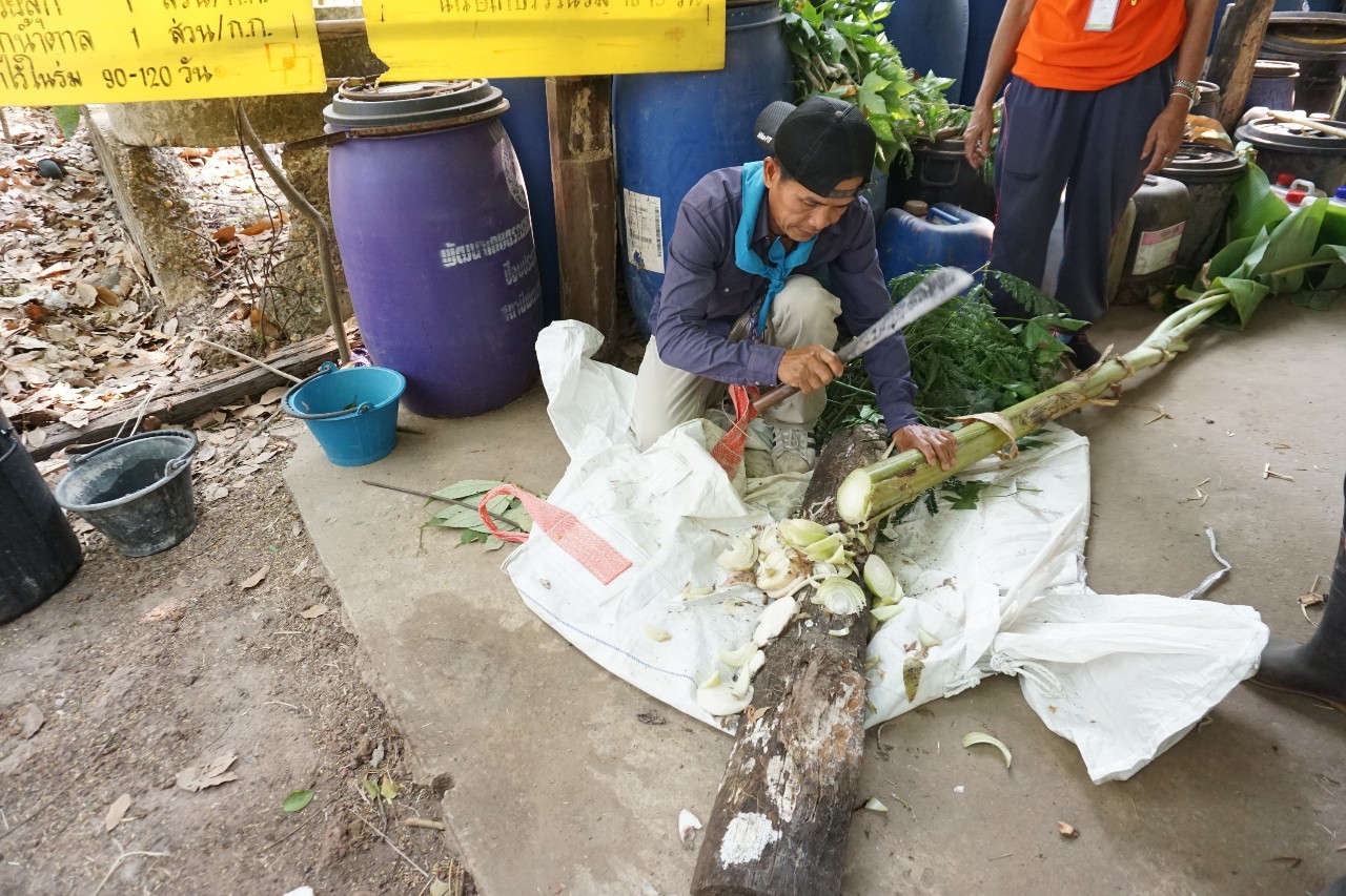 วันที่ 2 โครงการสร้างแกนนำขับเคลื่อนหมู่บ้านเศรษฐกิจพอเพียง รุ่นที่ 2 ณ ศูนย์กสิกรรมธรรมชาติฅนฮักถิ่น สกลนคร