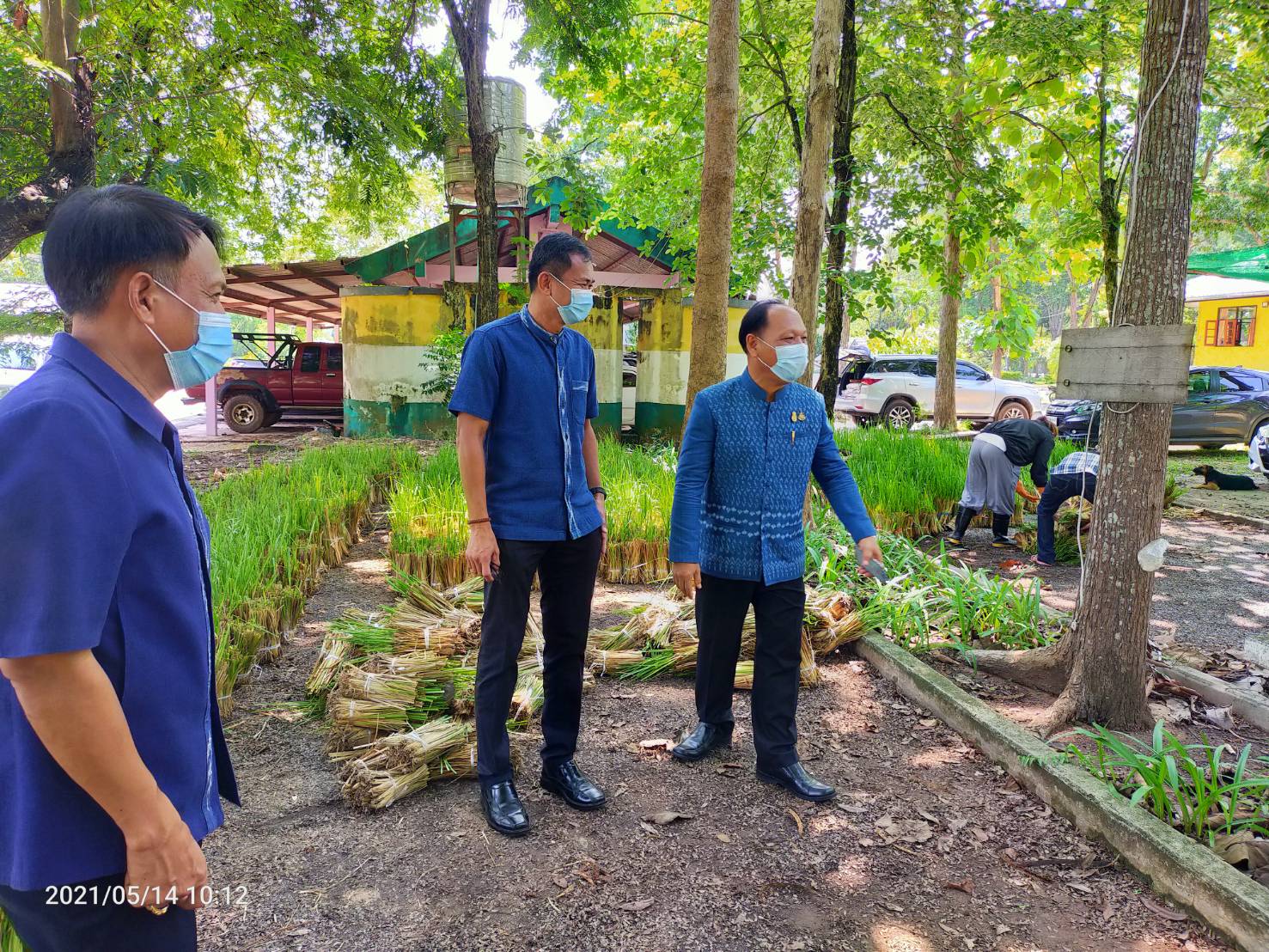 พช.สกลนคร รับมอบหญ้าแฝกสนับสนุน “โคก หนอง นา” พัฒนาชุมชน