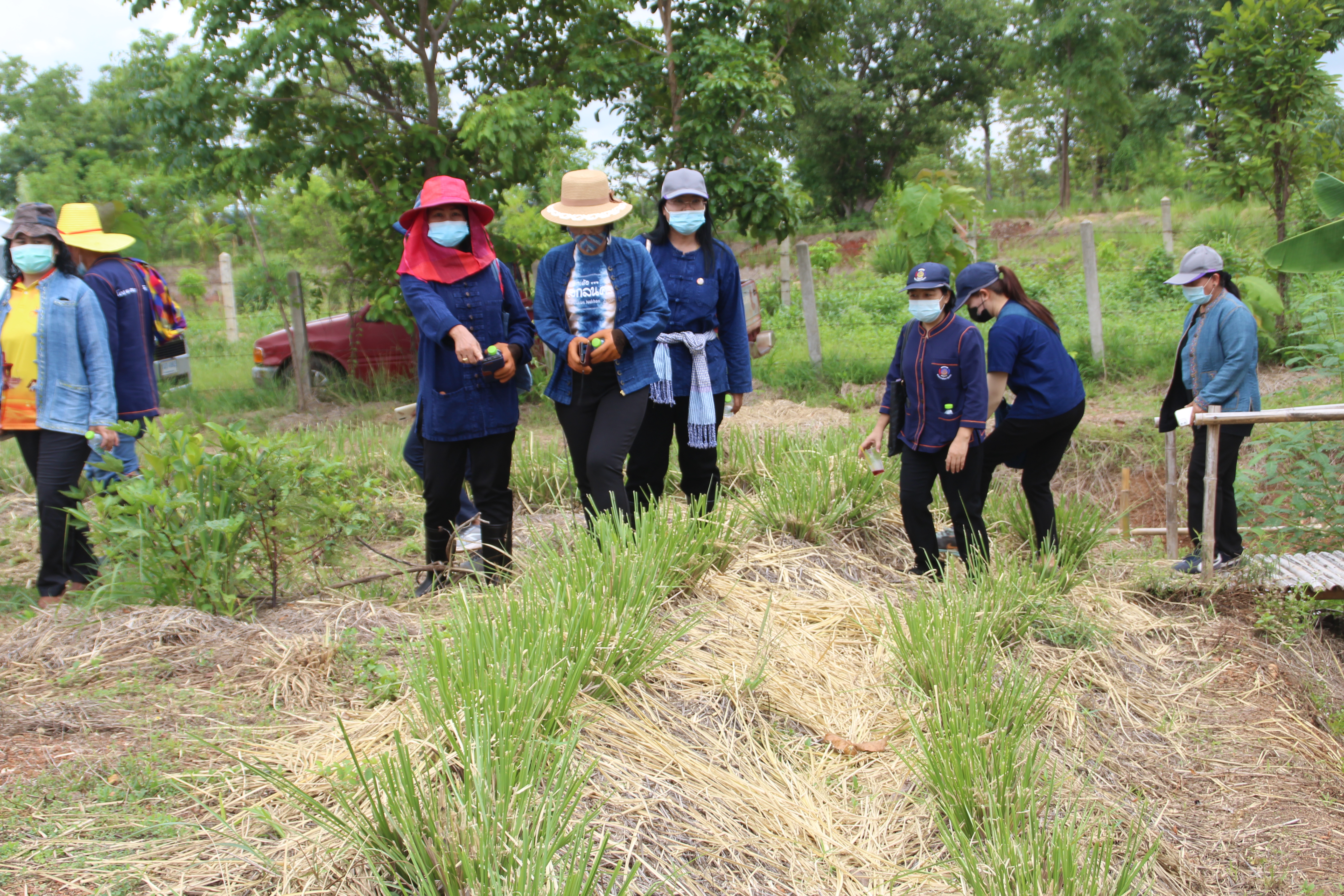 พช.สกลนคร เสริมสร้างการเรียนรู้ทฤษฎีใหม่ รูปแบบ “โคก หนอง นา โมเดล”