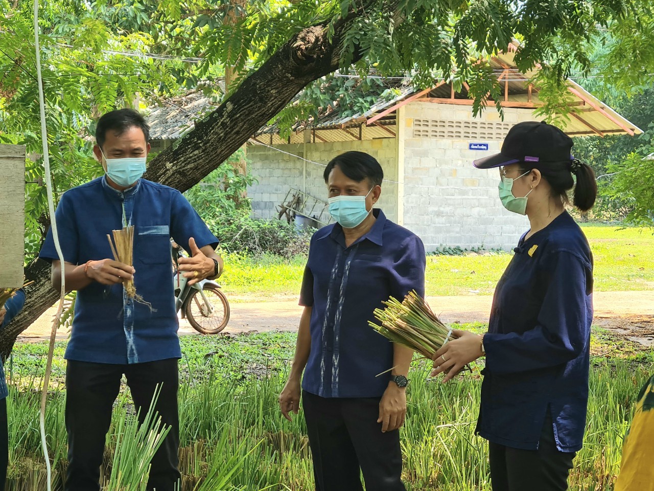 พช.สกลนคร รับมอบหญ้าแฝกสนับสนุน “โคก หนอง นา” พัฒนาชุมชน