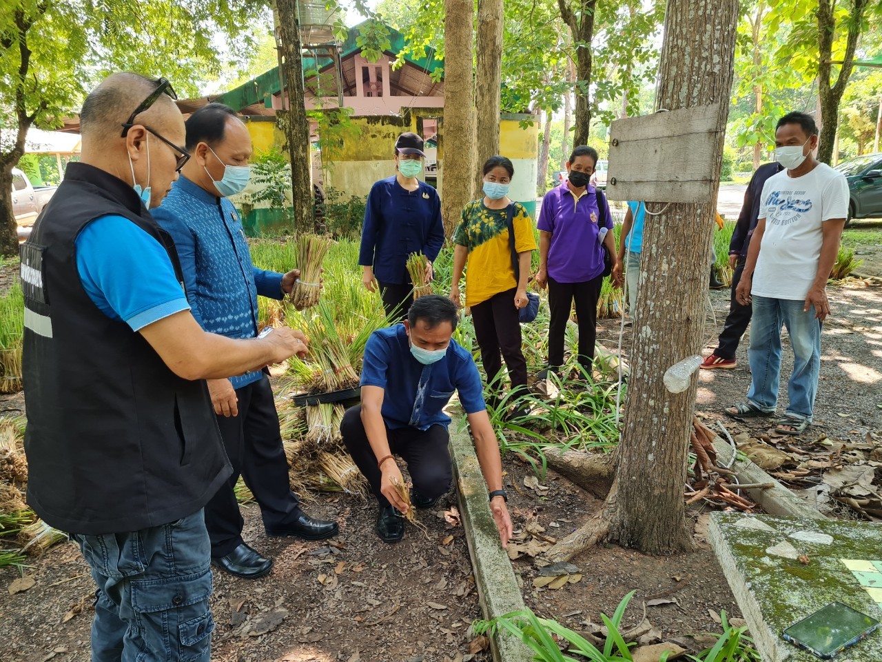 พช.สกลนคร รับมอบหญ้าแฝกสนับสนุน “โคก หนอง นา” พัฒนาชุมชน