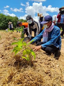 พช.โคกศรีสุพรรณ เอามื้อสามัคคี สร้างวิถีเรียนรู้ สู่ความพอเพียง ตามหลักทฤษฎีใหม่ “โคก หนอง นา โมเดล”