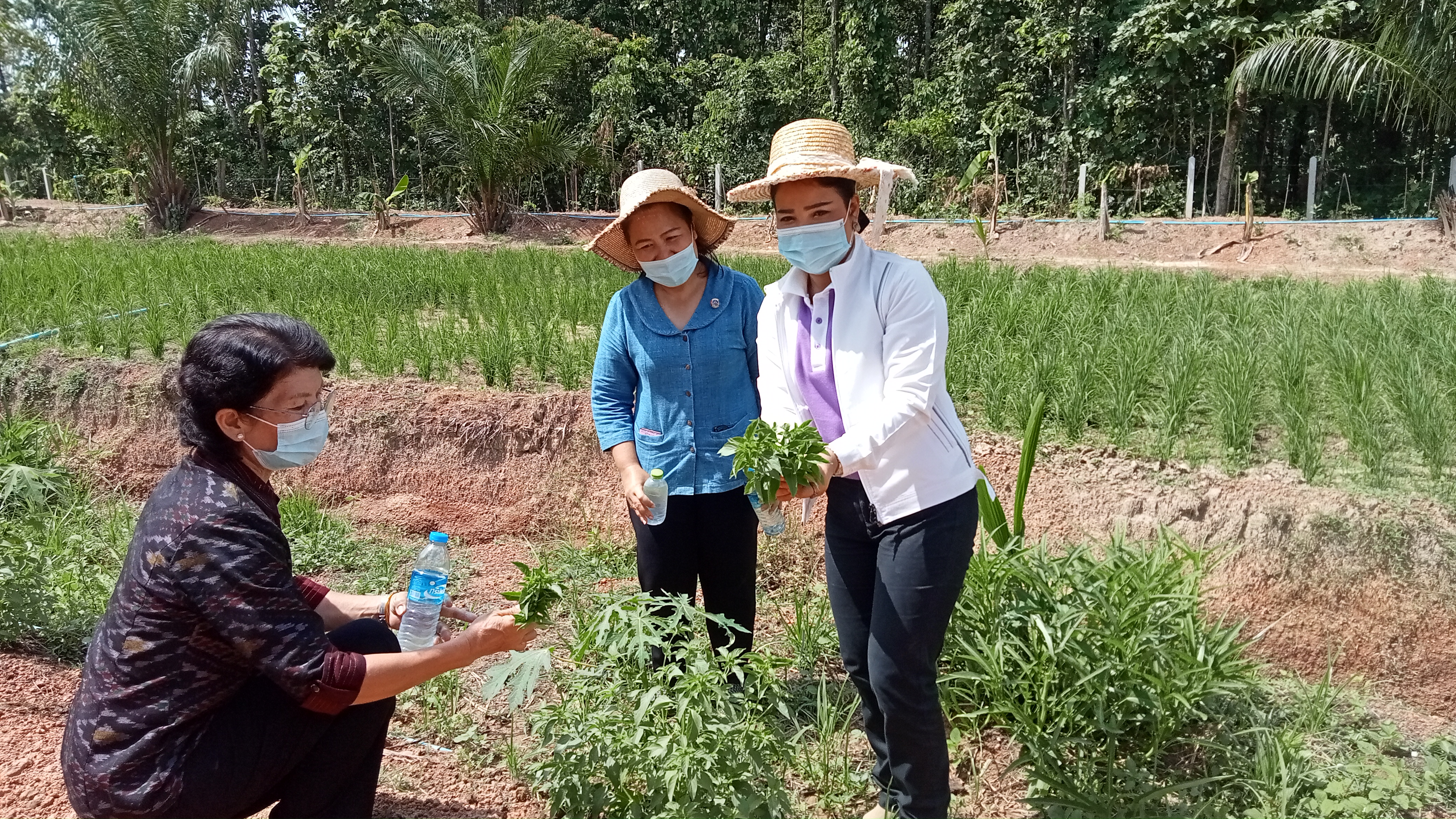 พช.วานรนิวาส “ร่วมกันเอามื้อสามัคคี สร้างการเรียนรู้ หิ้วปิ่นโต กินข้าวโฮมกัน”