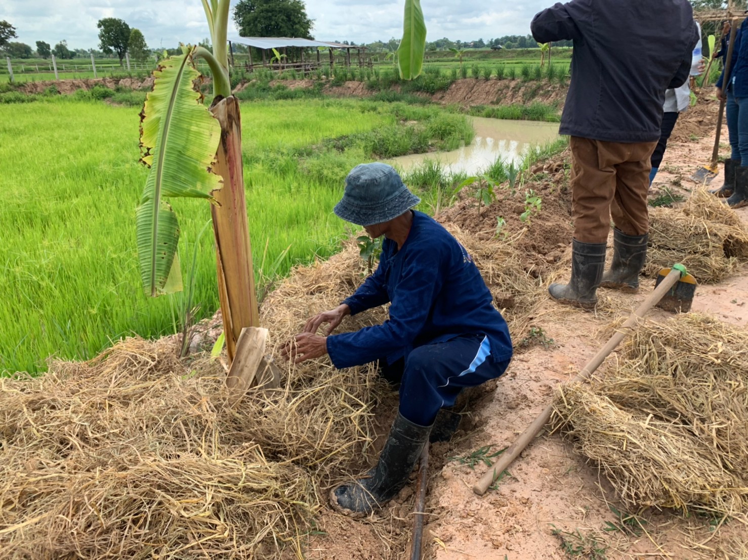 พช.+นพต.พังโคน เอามื้อสามัคคี วิถีชาว “โคก หนอง นา พช.”