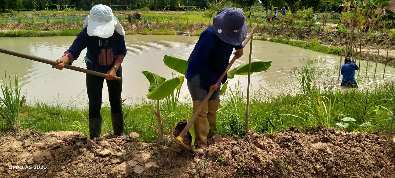 นายกเทศมนตรีตำบลไฮหย่อง ร่วมเอามื้อสามัคคี “โคก หนอง นา พช.”