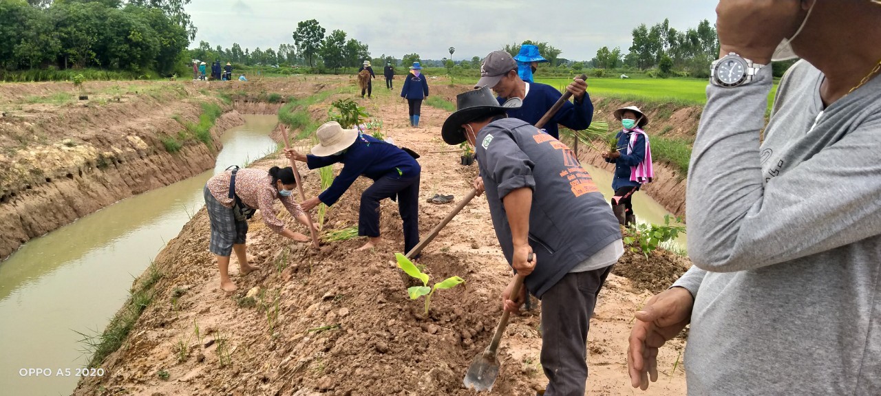 พช.พังโคน เอามื้อสามัคคี ตามหลักทฤษฎีใหม่ “โคก หนอง นา โมเดล”