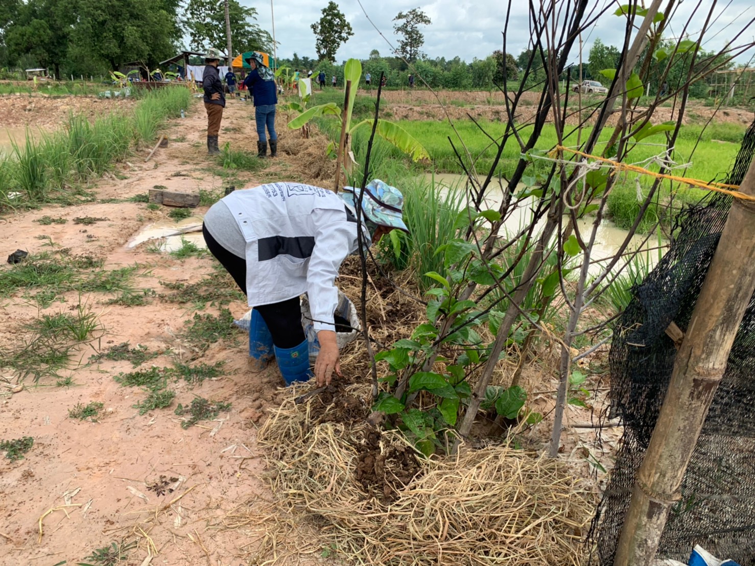 พช.+นพต.พังโคน เอามื้อสามัคคี วิถีชาว “โคก หนอง นา พช.”