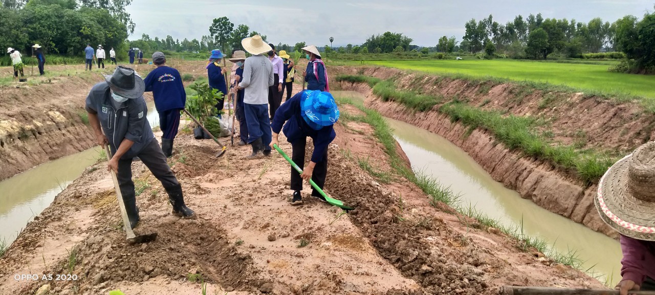 พช.พังโคน เอามื้อสามัคคี ตามหลักทฤษฎีใหม่ “โคก หนอง นา โมเดล”