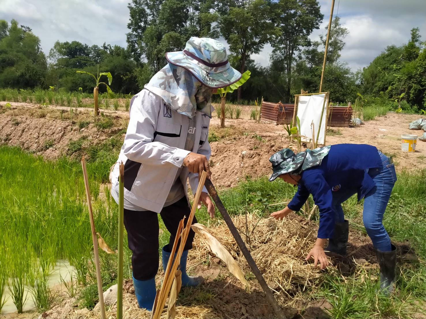พช.+นพต.พังโคน เอามื้อสามัคคี วิถีชาว “โคก หนอง นา พช.”