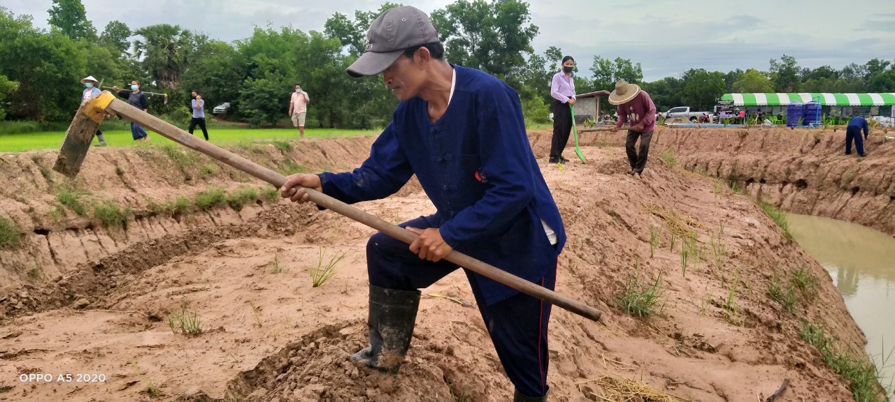 พช.พังโคน เอามื้อสามัคคี ตามหลักทฤษฎีใหม่ “โคก หนอง นา โมเดล”