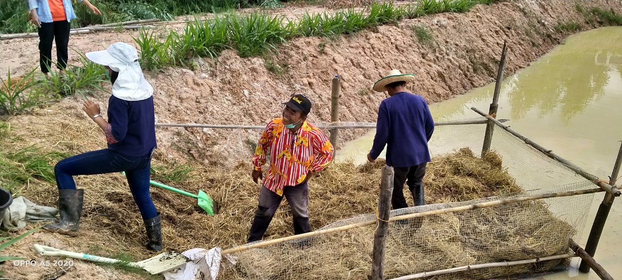 พช.+นพต.พังโคน เอามื้อสามัคคี วิถีชาว “โคก หนอง นา พช.”