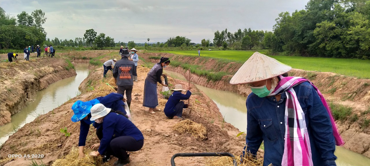 พช.พังโคน เอามื้อสามัคคี ตามหลักทฤษฎีใหม่ “โคก หนอง นา โมเดล”