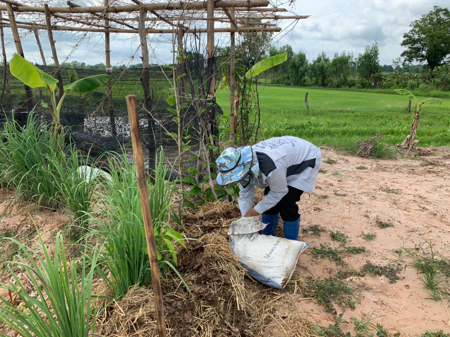 พช.+นพต.พังโคน เอามื้อสามัคคี วิถีชาว “โคก หนอง นา พช.”