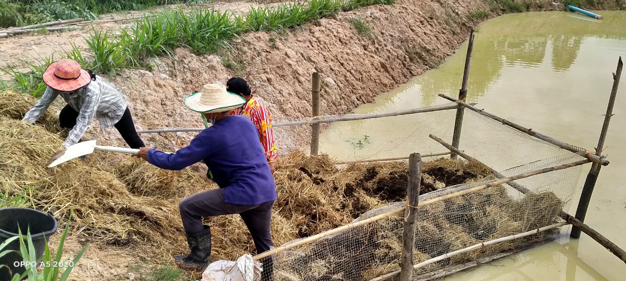 พช.+นพต.พังโคน เอามื้อสามัคคี วิถีชาว “โคก หนอง นา พช.”