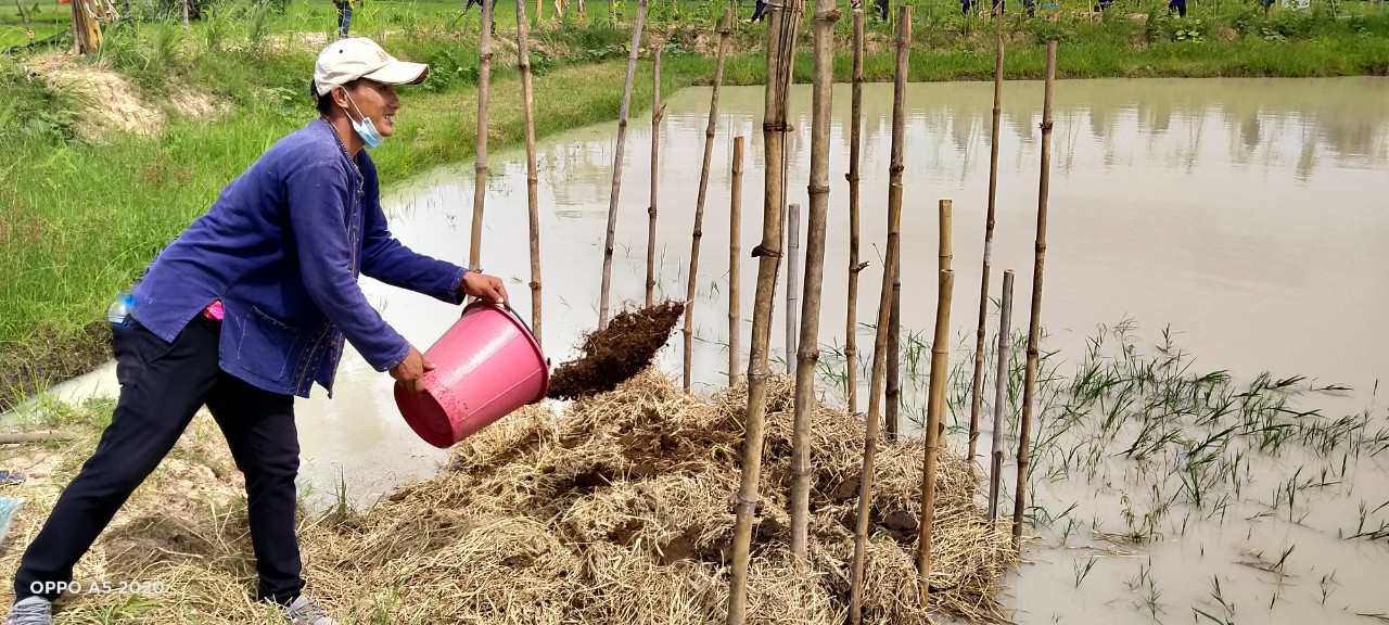 นายกเทศมนตรีตำบลไฮหย่อง ร่วมเอามื้อสามัคคี “โคก หนอง นา พช.”