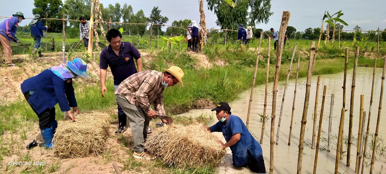 นายกเทศมนตรีตำบลไฮหย่อง ร่วมเอามื้อสามัคคี “โคก หนอง นา พช.”