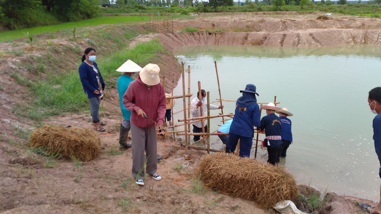 พช.พังโคน เอามื้อสามัคคี ตามหลักทฤษฎีใหม่ “โคก หนอง นา โมเดล”