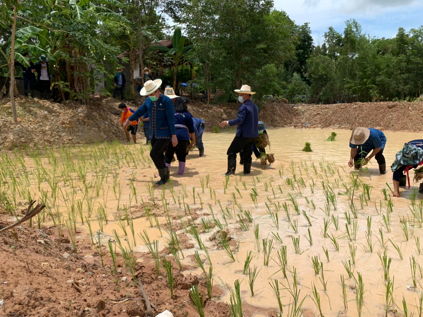 รองฯ ผู้ว่า พาเอามื้อสามัคคี “โคก หนอง นา”