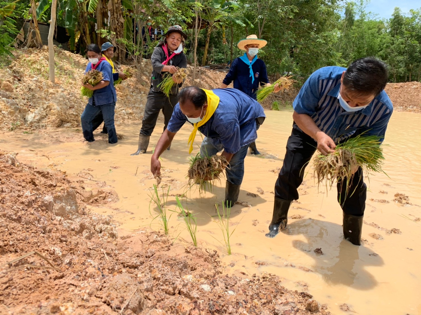 รองฯ ผู้ว่า พาเอามื้อสามัคคี “โคก หนอง นา”