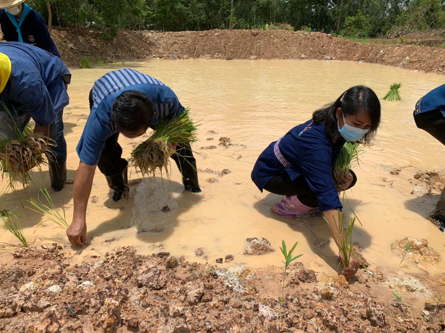 รองฯ ผู้ว่า พาเอามื้อสามัคคี “โคก หนอง นา”