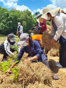 พช.โคกศรีสุพรรณ เอามื้อสามัคคี สร้างวิถีเรียนรู้ สู่ความพอเพียง ตามหลักทฤษฎีใหม่ “โคก หนอง นา โมเดล”