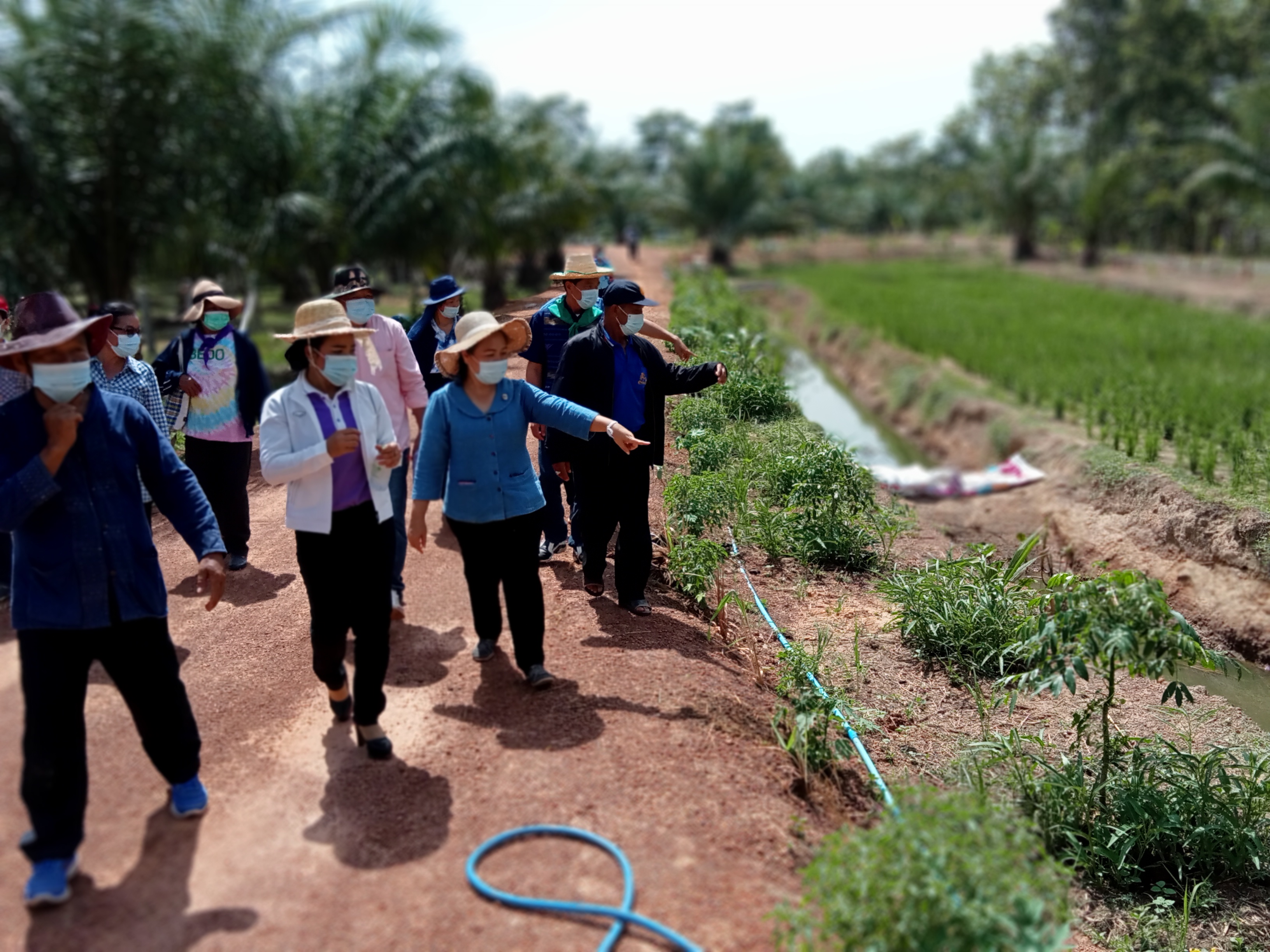 พช.วานรนิวาส “ร่วมกันเอามื้อสามัคคี สร้างการเรียนรู้ หิ้วปิ่นโต กินข้าวโฮมกัน”