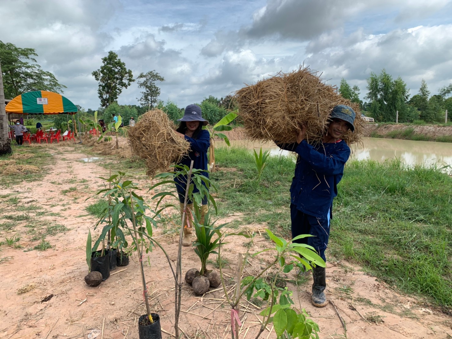 พช.+นพต.พังโคน เอามื้อสามัคคี วิถีชาว “โคก หนอง นา พช.”