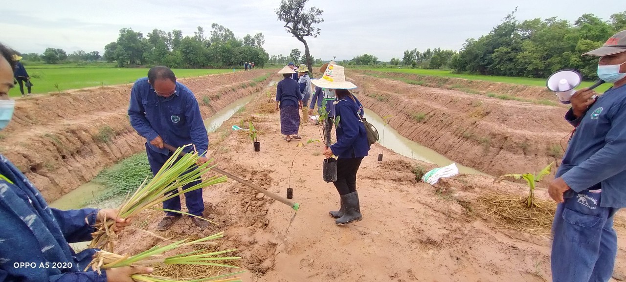 พช.พังโคน เอามื้อสามัคคี ตามหลักทฤษฎีใหม่ “โคก หนอง นา โมเดล”