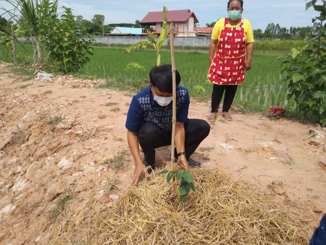 พจ.สกลนคร เอามื้อสามัคคี “โคก หนอง นา พช.”