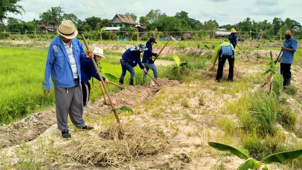 พช.พังโคน เอามื้อสามัคคี แปลง HLM “โคก หนอง นา”