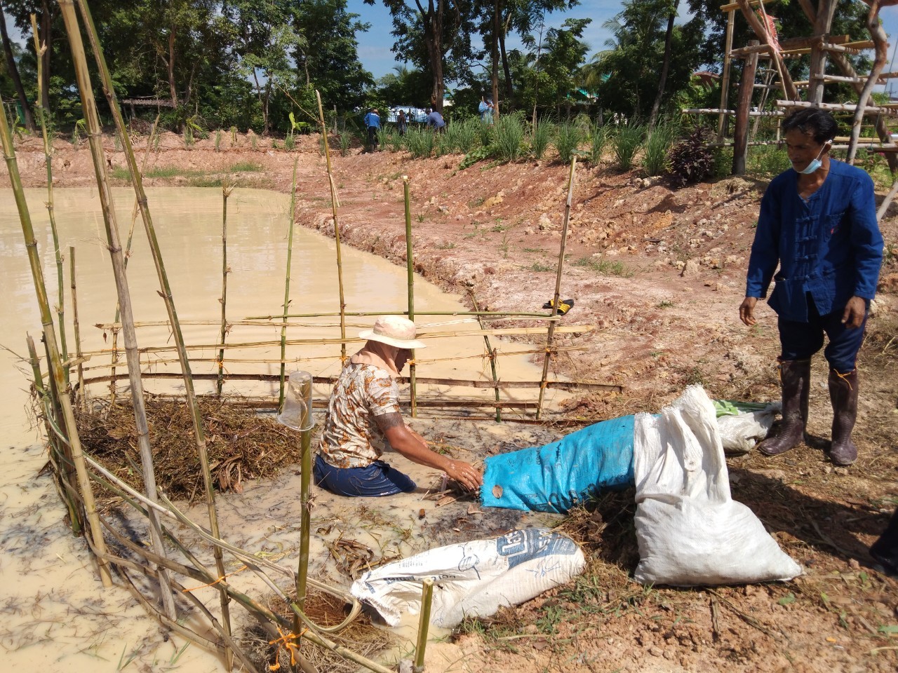 พช.พังโคน เอามื้อสามัคคี  “โคก หนอง นา” แปลง HLM นายศรศักดิ์ ศรีสร้อย