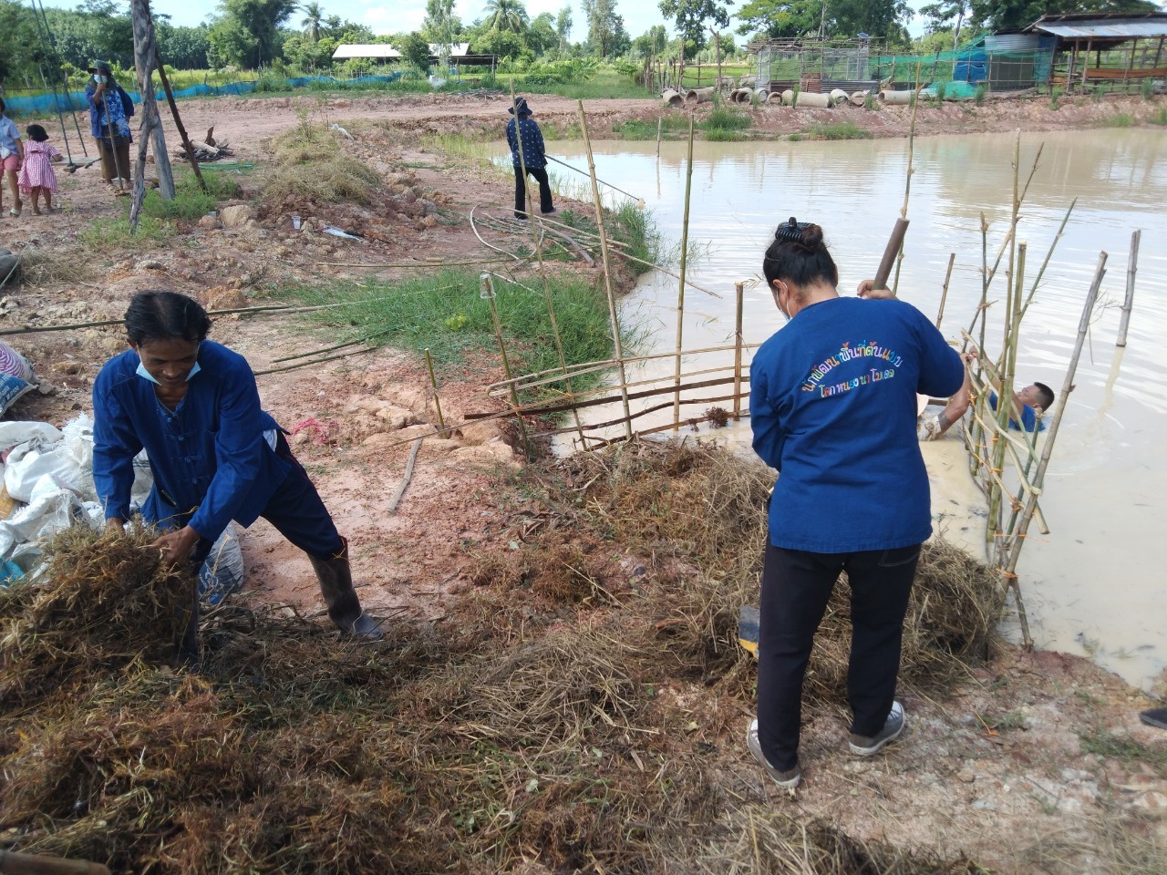 พช.พังโคน เอามื้อสามัคคี  “โคก หนอง นา” แปลง HLM นายศรศักดิ์ ศรีสร้อย