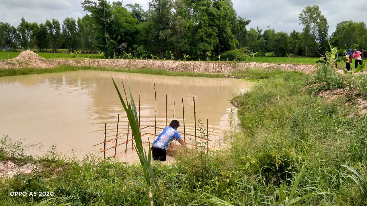 พช.พังโคน เอามื้อสามัคคี แปลง HLM “โคก หนอง นา”