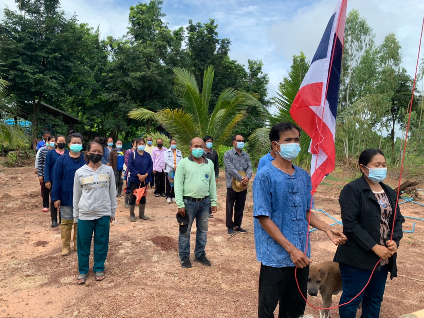 พช.พังโคน เอามื้อสามัคคี สร้างการเรียนรู้ แปลง HLM นางขนิษฐา จิตรเจริญ