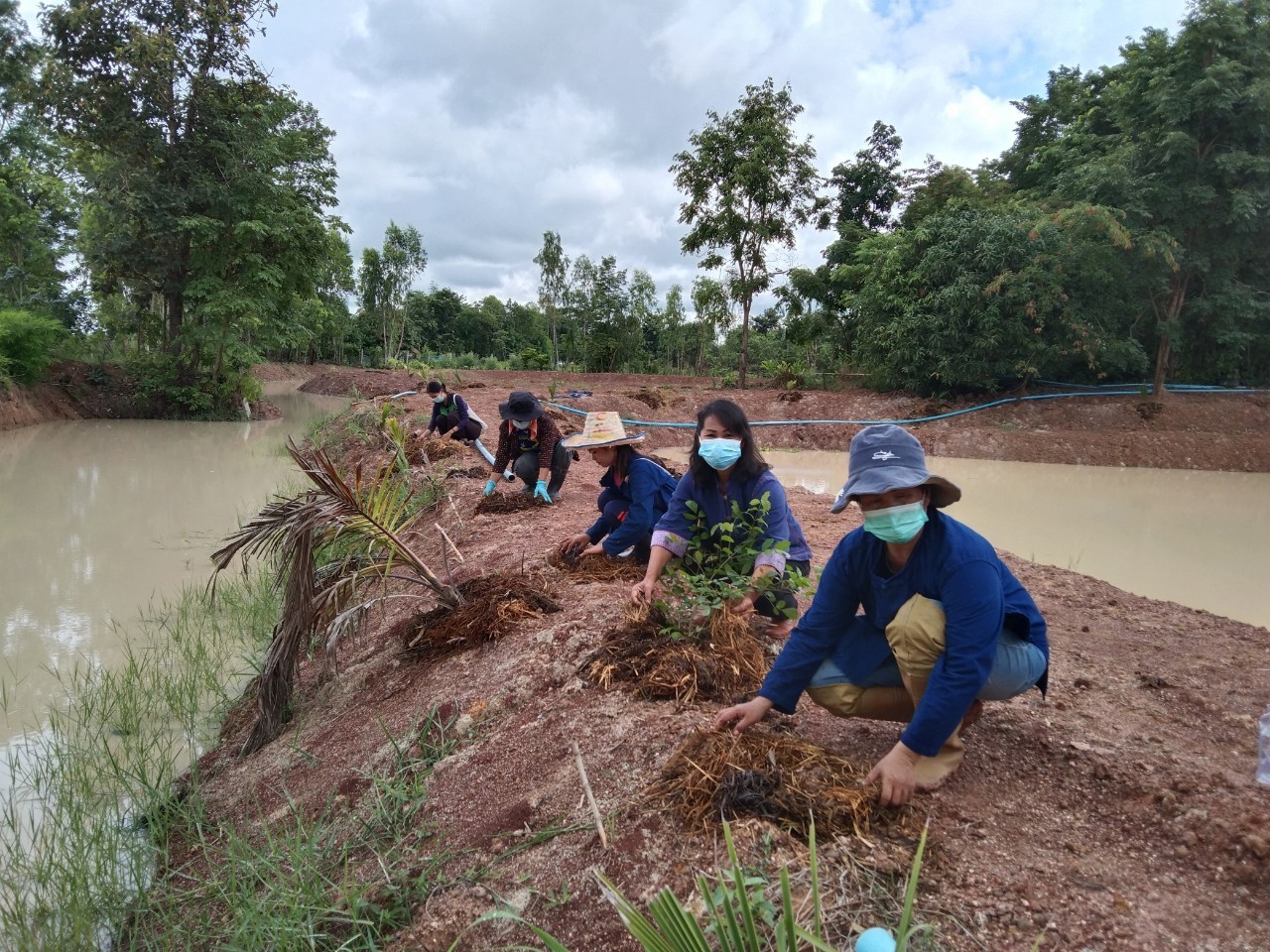 พช.พังโคน เอามื้อสามัคคี สร้างการเรียนรู้ แปลง HLM นางขนิษฐา จิตรเจริญ