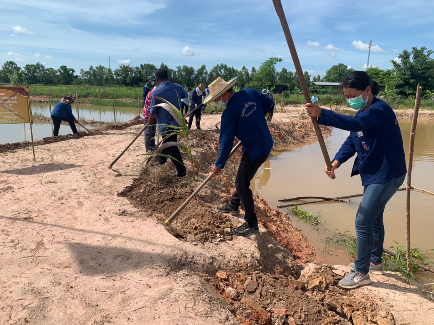 พช.พังโคน เอามื้อสามัคคี แปลง HLM “โคก หนอง นา”