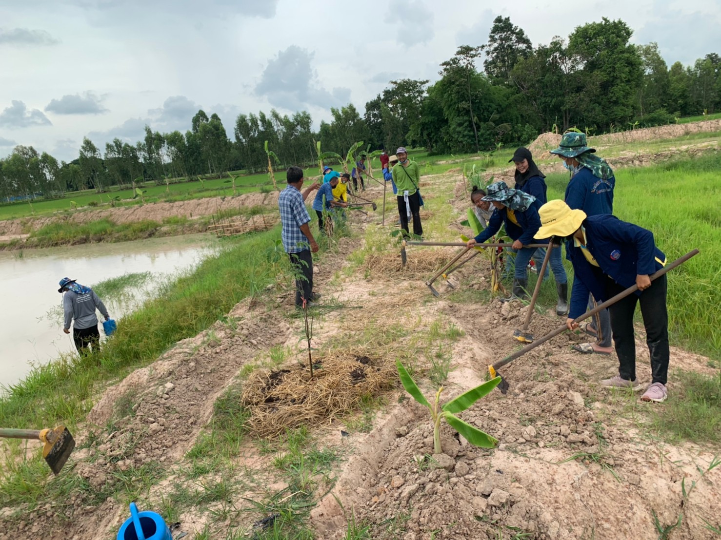พช.พังโคน เอามื้อสามัคคี แปลง HLM “โคก หนอง นา”