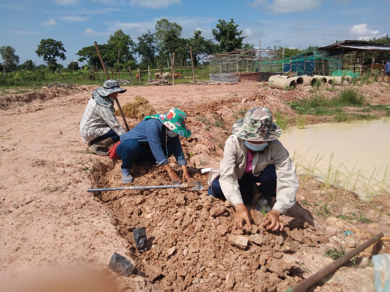 พช.พังโคน เอามื้อสามัคคี  “โคก หนอง นา” แปลง HLM นายศรศักดิ์ ศรีสร้อย