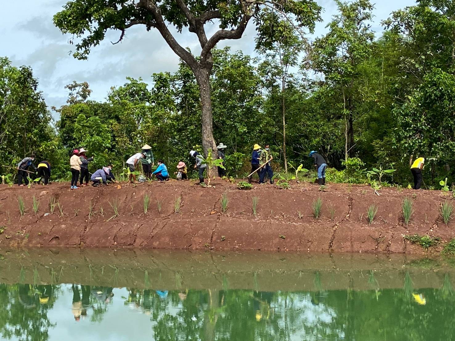 พช.โพนนาแก้ว เอามื้อสามัคคี “โคก หนอง นา พช.” แปลง นางพาดี แสงพรมชารี