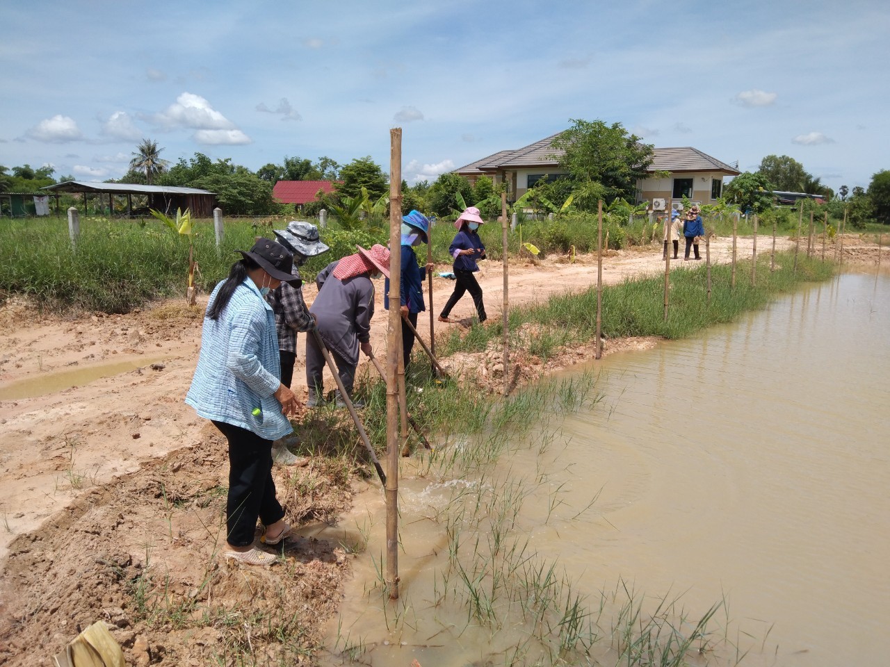 พช.พังโคน เอามื้อสามัคคี แปลง HLM “โคก หนอง นา”