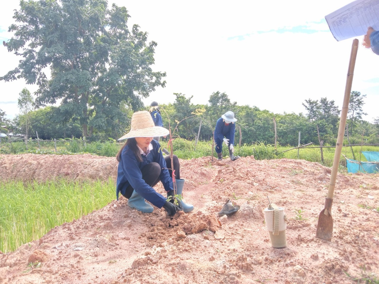 พช.พังโคน เอามื้อสามัคคี  “โคก หนอง นา” แปลง HLM นายศรศักดิ์ ศรีสร้อย