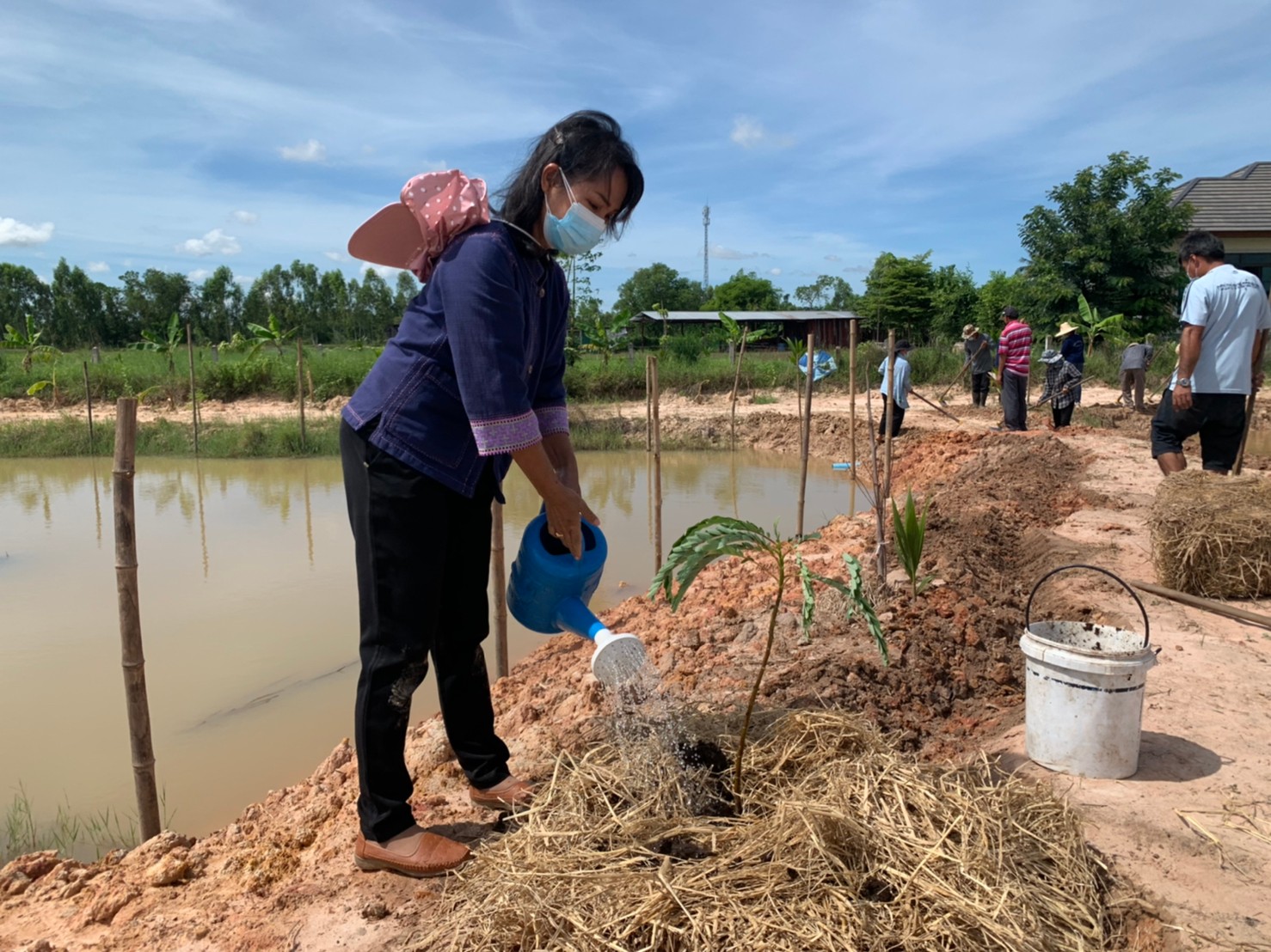 พช.พังโคน เอามื้อสามัคคี แปลง HLM “โคก หนอง นา”