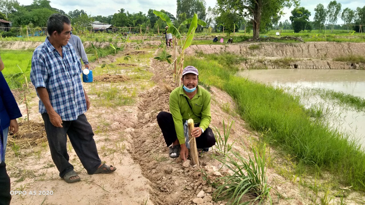 พช.พังโคน เอามื้อสามัคคี แปลง HLM “โคก หนอง นา”